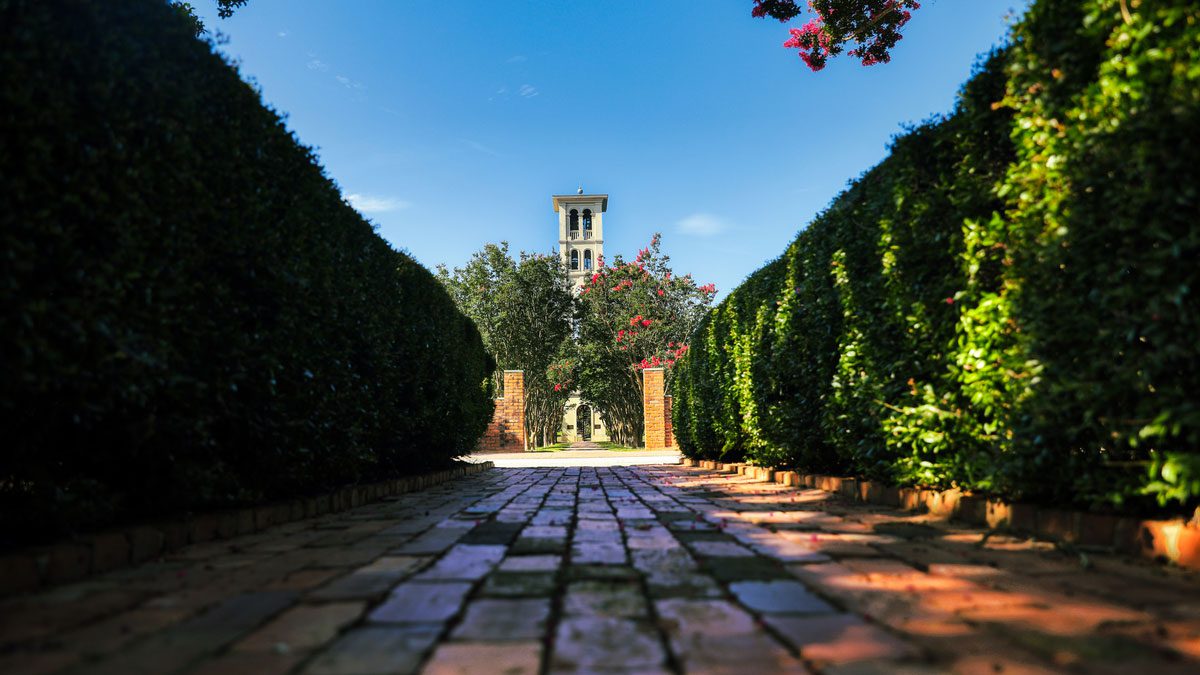 Furman bell tower surrounded by tall bushes